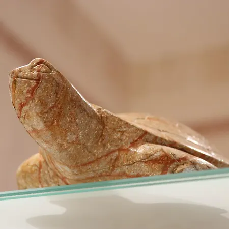 Casa vacanze Lanau Casa Barbacoa Bike's Jardin Naturaleza Morillo de Monclus