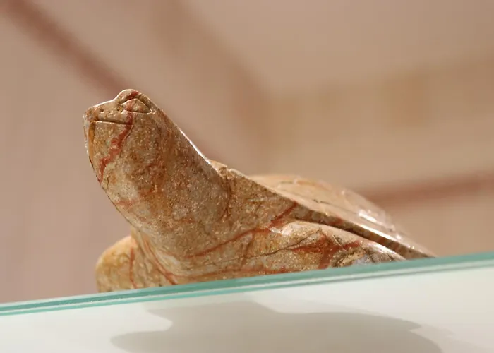 Semesterbostad Lanau Casa Barbacoa Bike's Jardin Naturaleza Morillo de Monclus